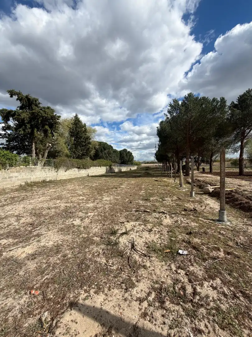 Terreno rustico in vendita a Diseminado Diseminados, imagen 9