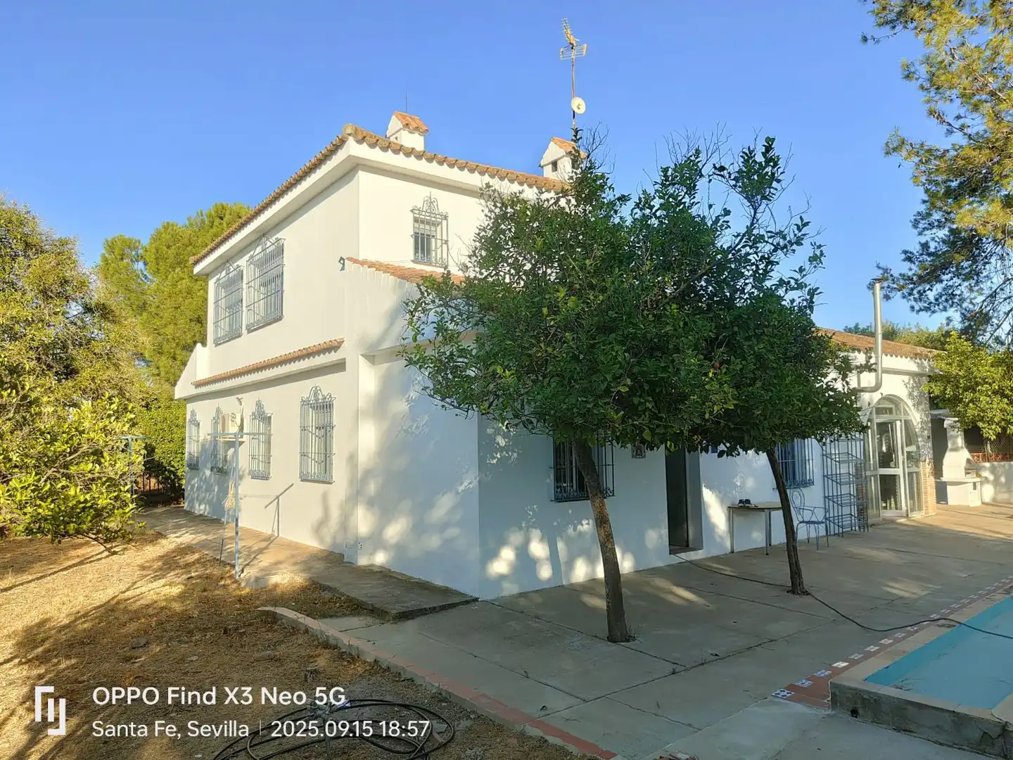 Vista exterior de Casa o chalet en venta en Carmona con Terraza