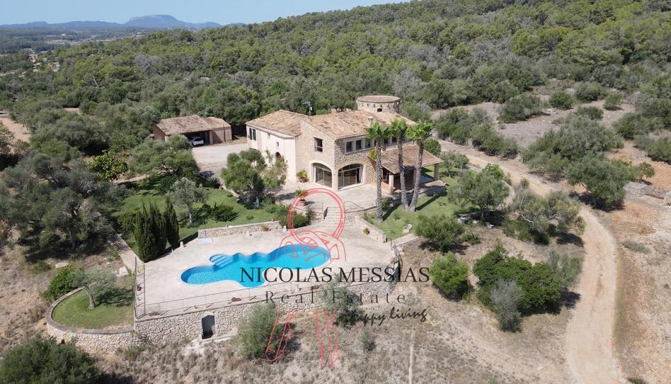 Photo 1 of Country house to rent in Petra, Illes Balears