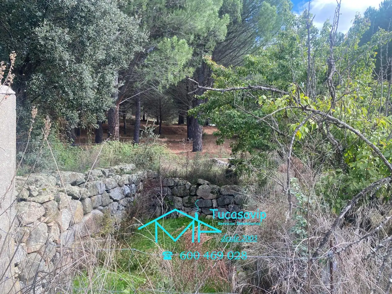 Terreni e lotti in vendita a Cebreros, imagen 12