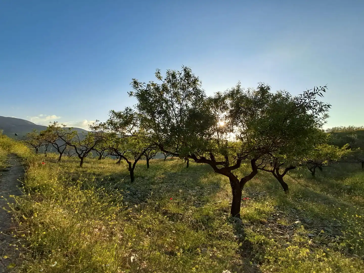 Terreno en venta en Bayarque