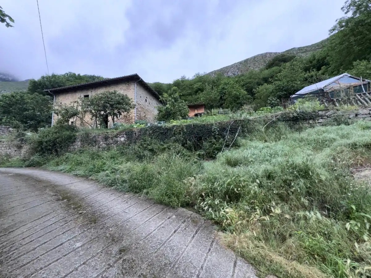 House for sale in Peñamellera Alta, imagen 5