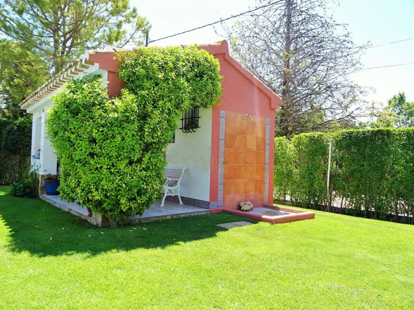 Jardí de Casa o xalet en venda en Albacete amb Aire condicionat, Jardí privat i Terrassa
