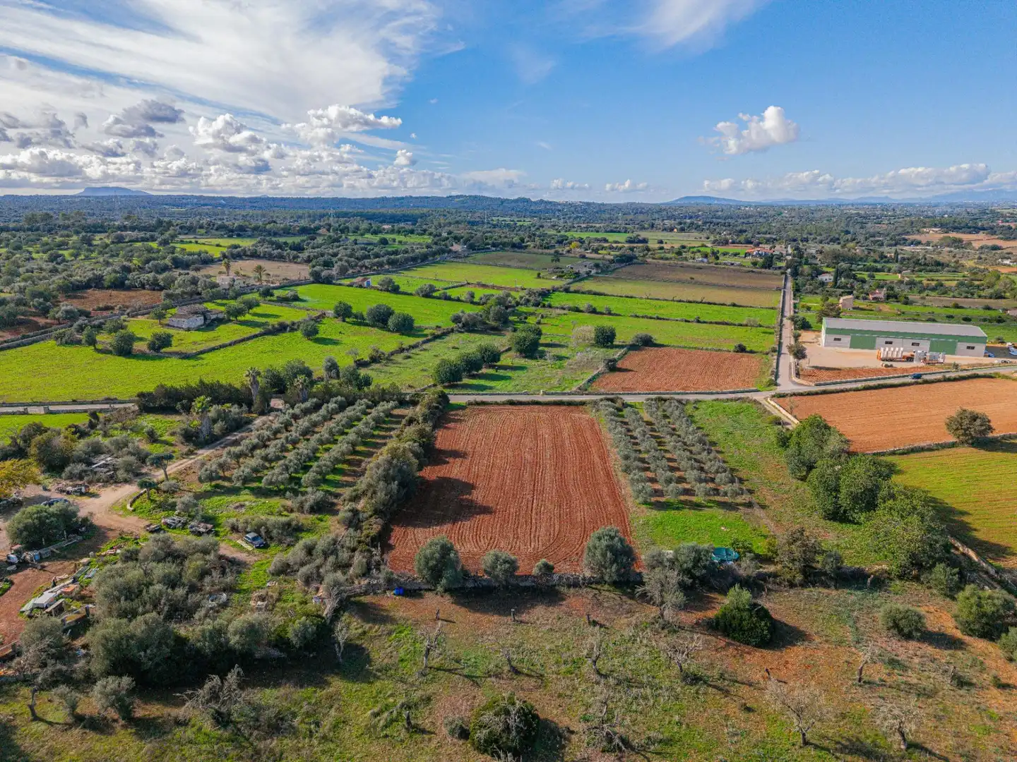 Terreny rústic en venda a Camino Camí de Vinyota, imagen 3