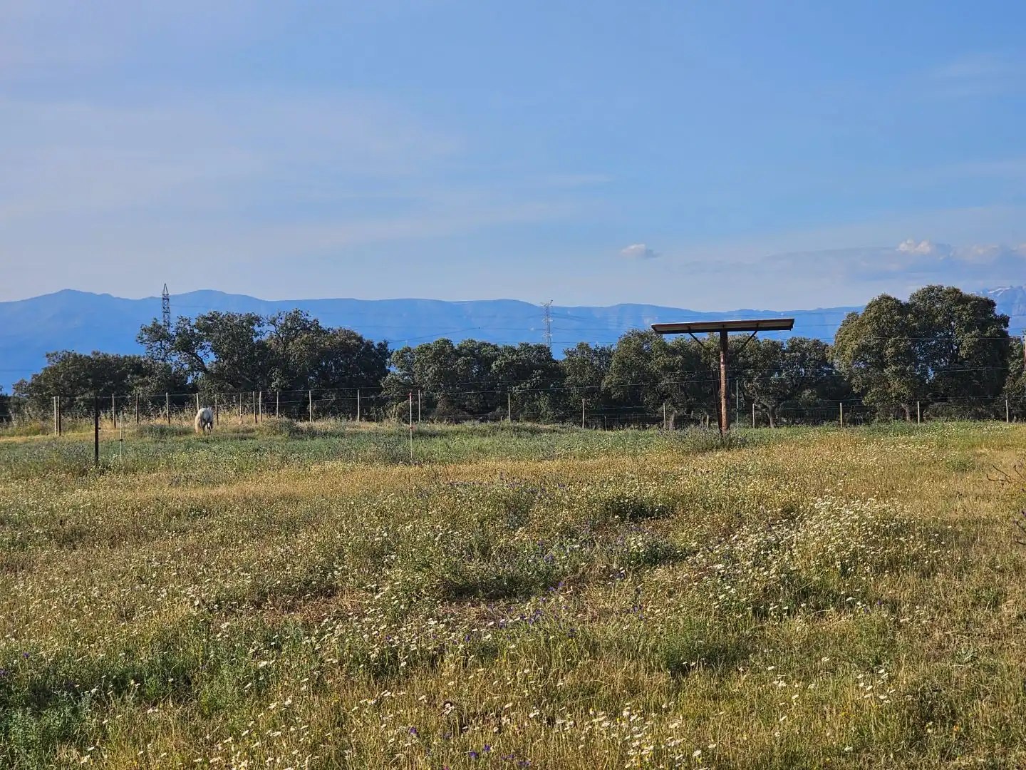 Terreno en venta en Navalmoral de la Mata
