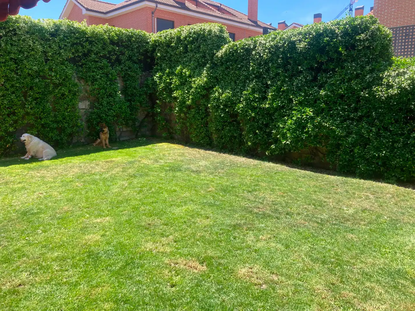 Reihenhaus mit Pool zum Verkauf in Calle de la Retama, imagen 37