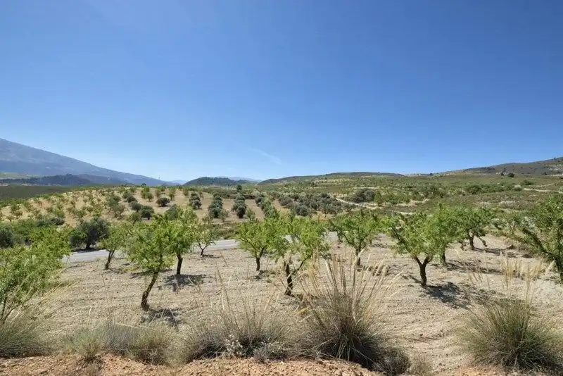 Terreny rústic en venda a Villamena, imagen 29