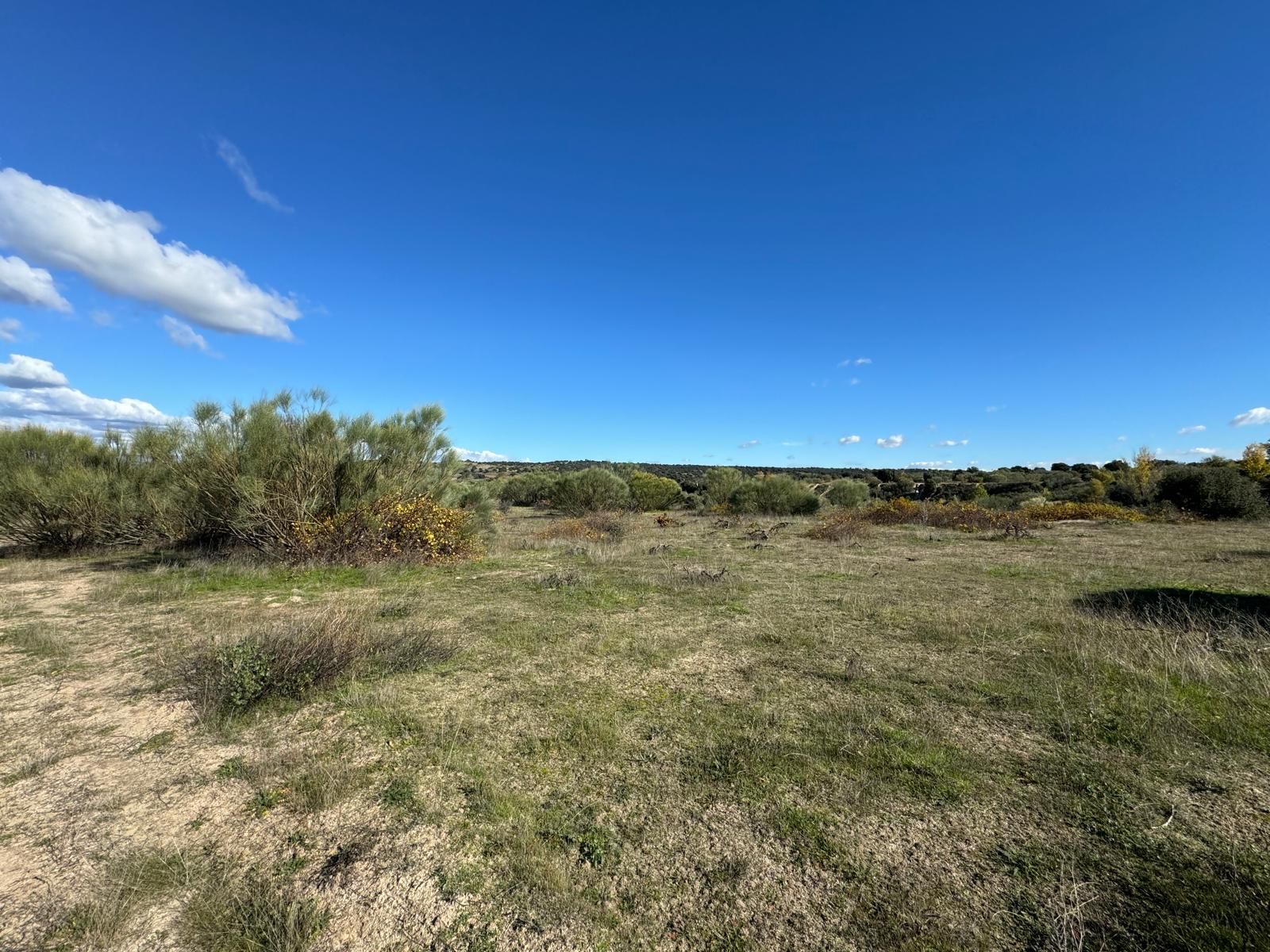 Terreno en venta en  Madrid Capital