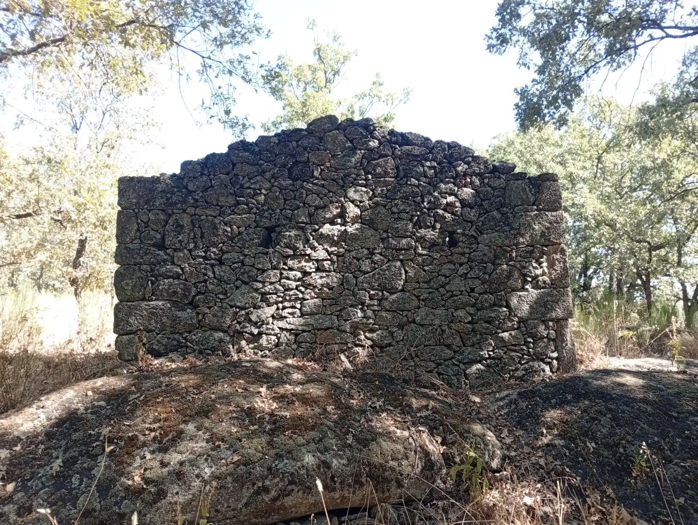 Terreni e lotti in vendita a Villanueva de la Vera, imagen 40
