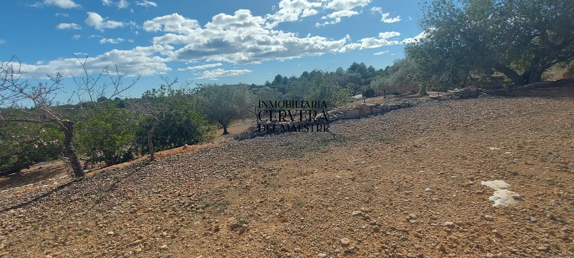 Terreno rustico in vendita a Partidas de interior - Zona Rústica, imagen 14
