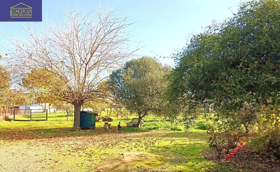 Villa avec piscine à vendre à Periurbano Este - Campiña, imagen 20