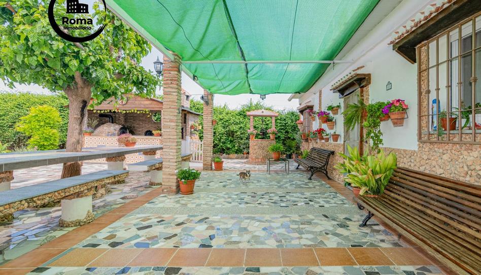 Foto 1 de Finca rústica en venda a  Pago del Ramal del Rey, Pinos Puente, Granada