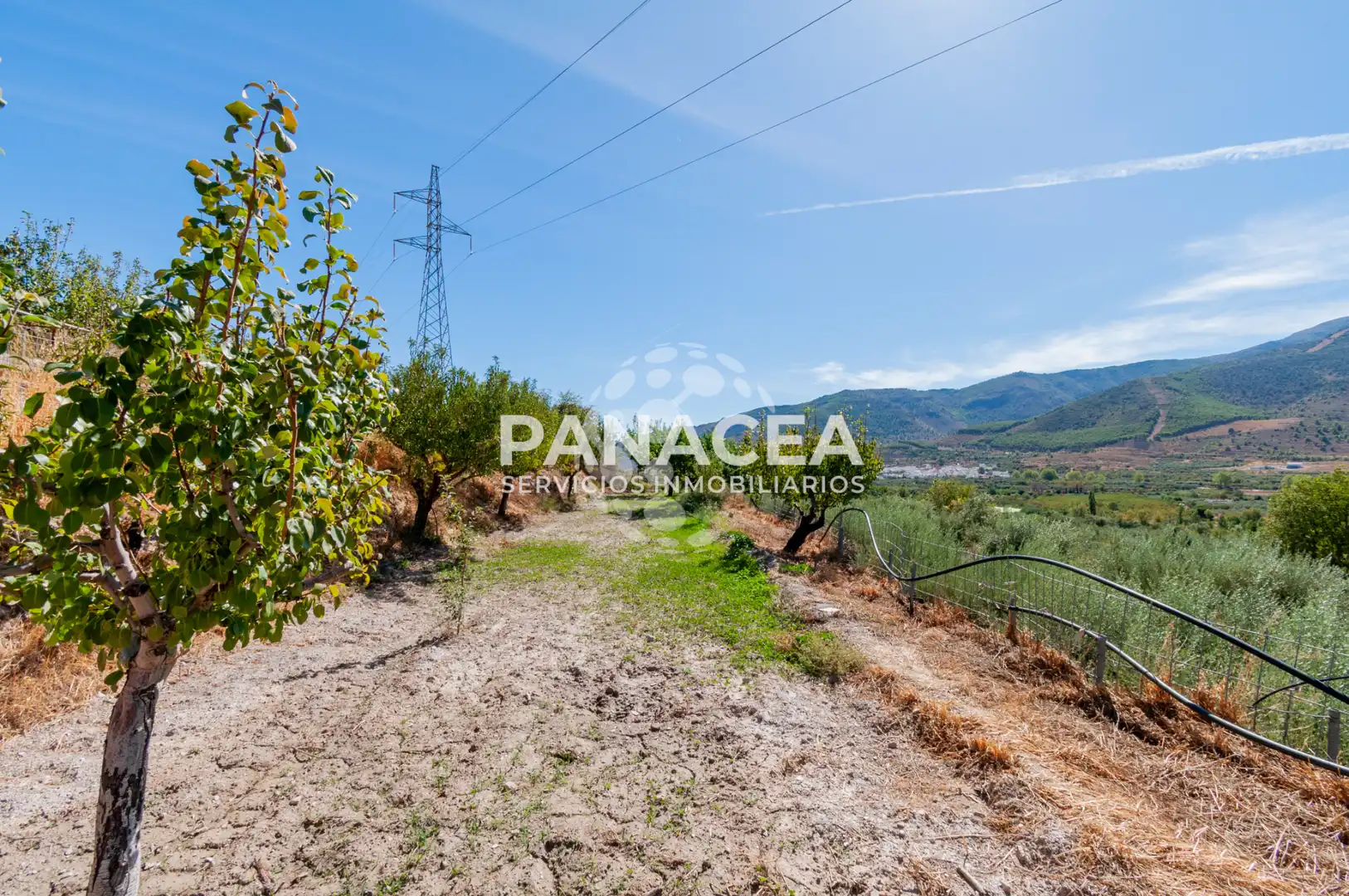 Villa mit Garten zum Verkauf in Fondón, imagen 47