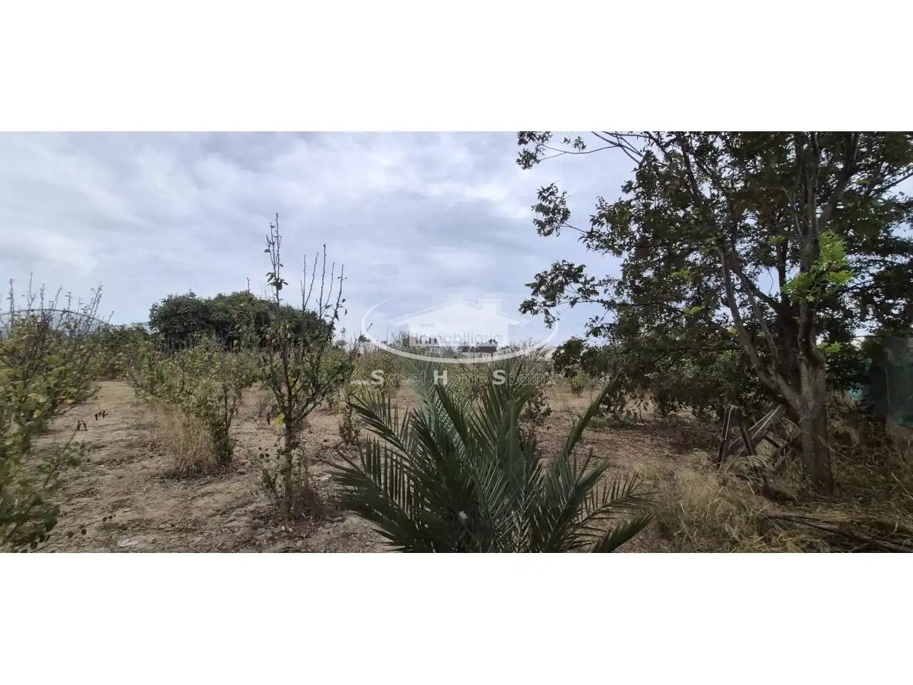 Terreno rustico in vendita a Calle Real de Chapitel, imagen 38