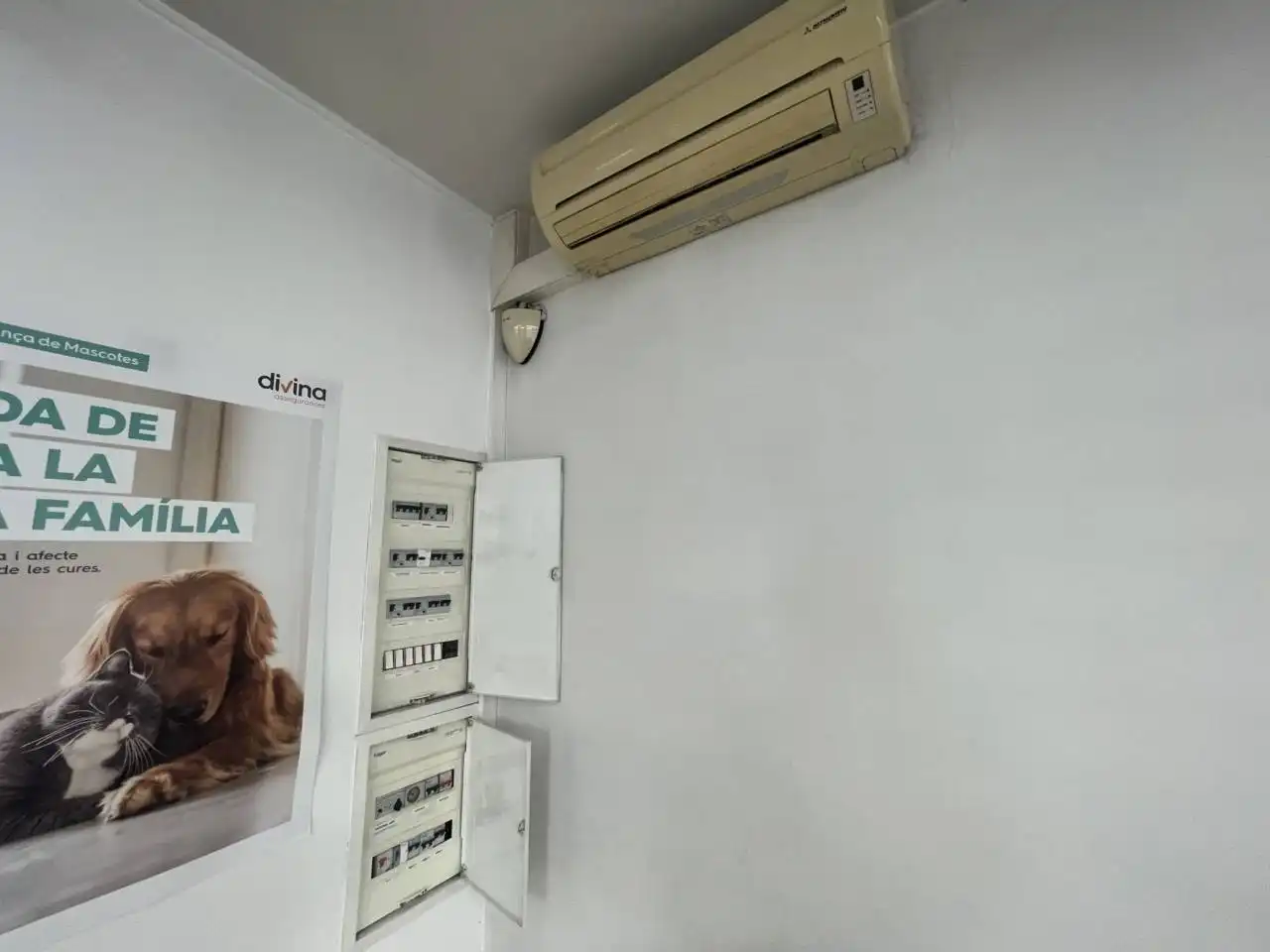 Local comercial en alquiler en Calle Ronda Francesc Camprodon, imagen 17