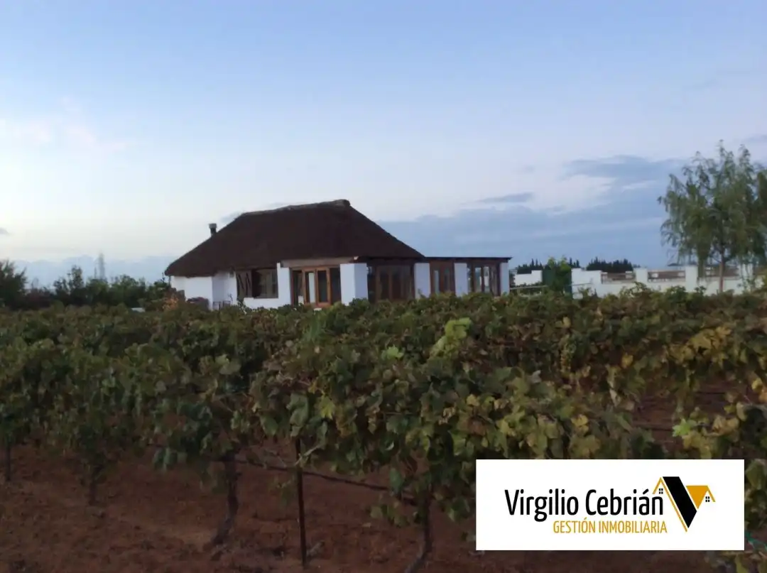 Country house with garden for sale in Centro, imagen 18