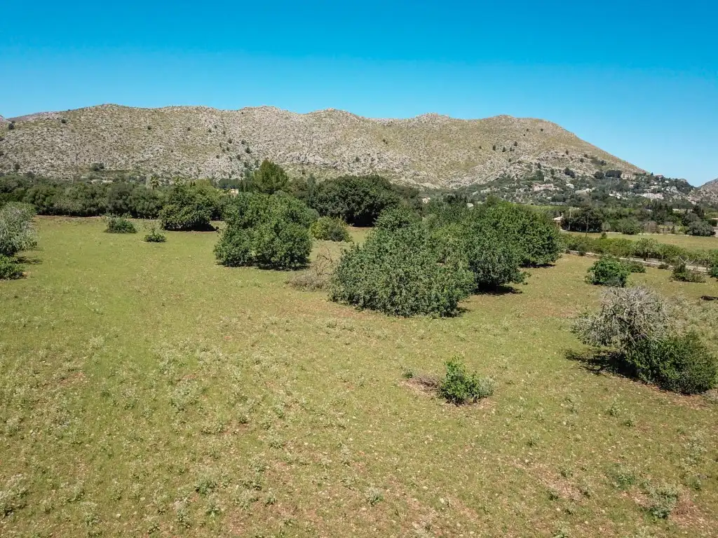 Rustikales Grundstück zum Verkauf in Pollença Poble