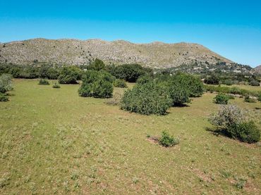 Terrain rustique à vendre à Pollença Poble