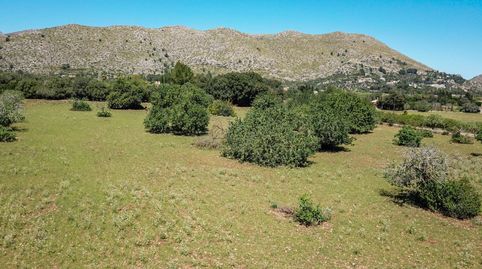 Parcela generosa en venta cerca de Puerto Pollensa en Mallorca