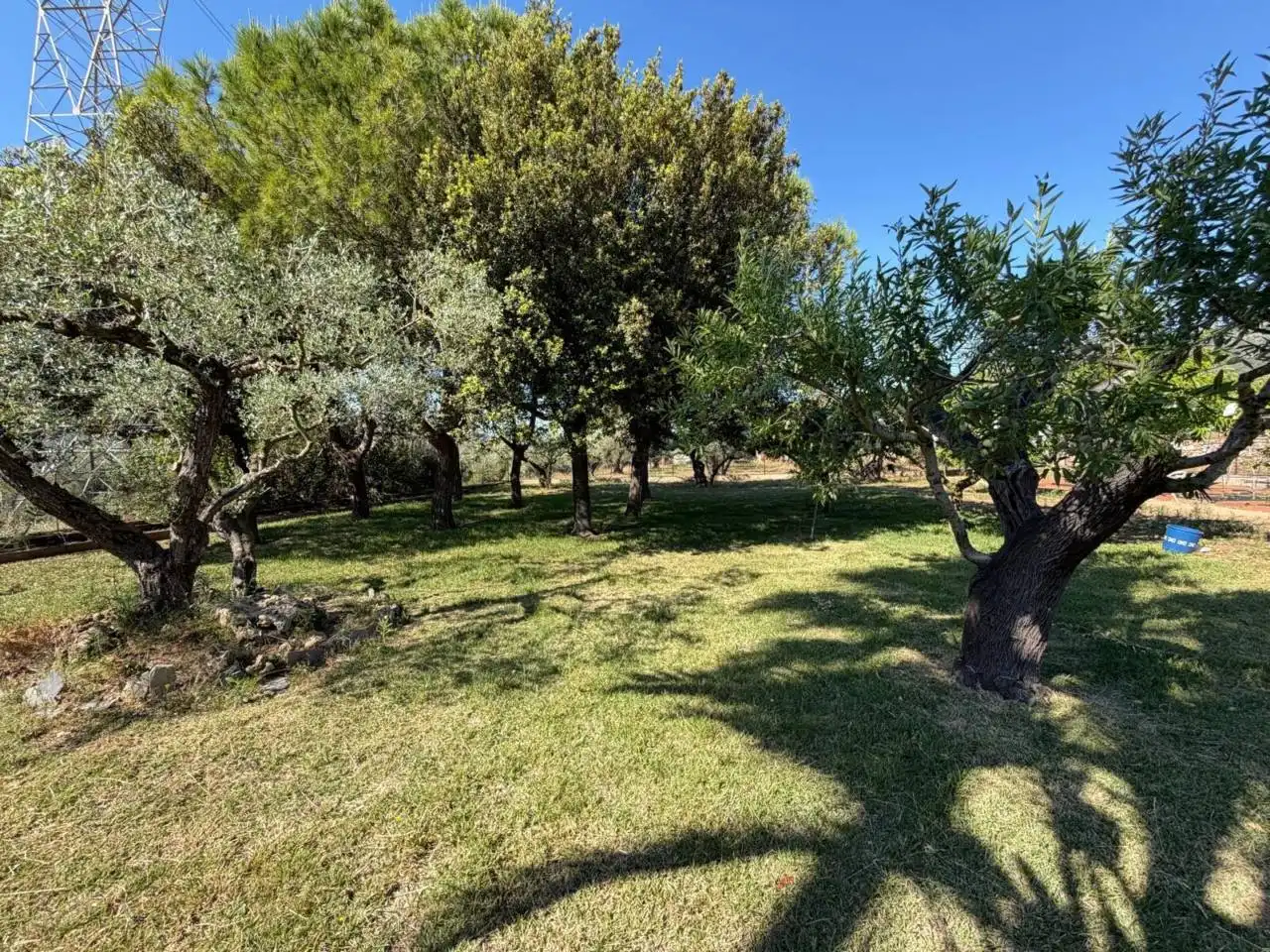 Chalet con piscina en venta en Camino Assut, imagen 48