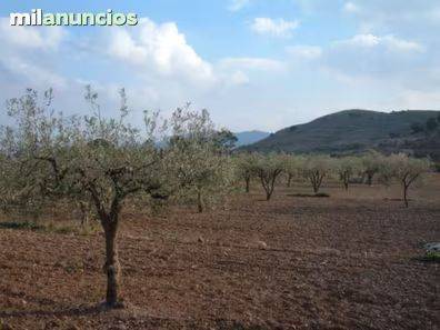 Terreno en Venta en Villanueva de la Serena