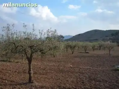Terreni e lotti in vendita a Villanueva de la Serena