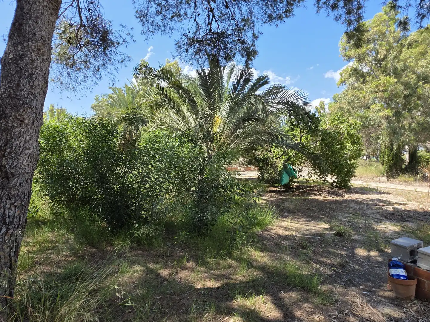 Terrenos y solares en venta en Mar Menor de Cartagena – Cabo de Palos, imagen 40