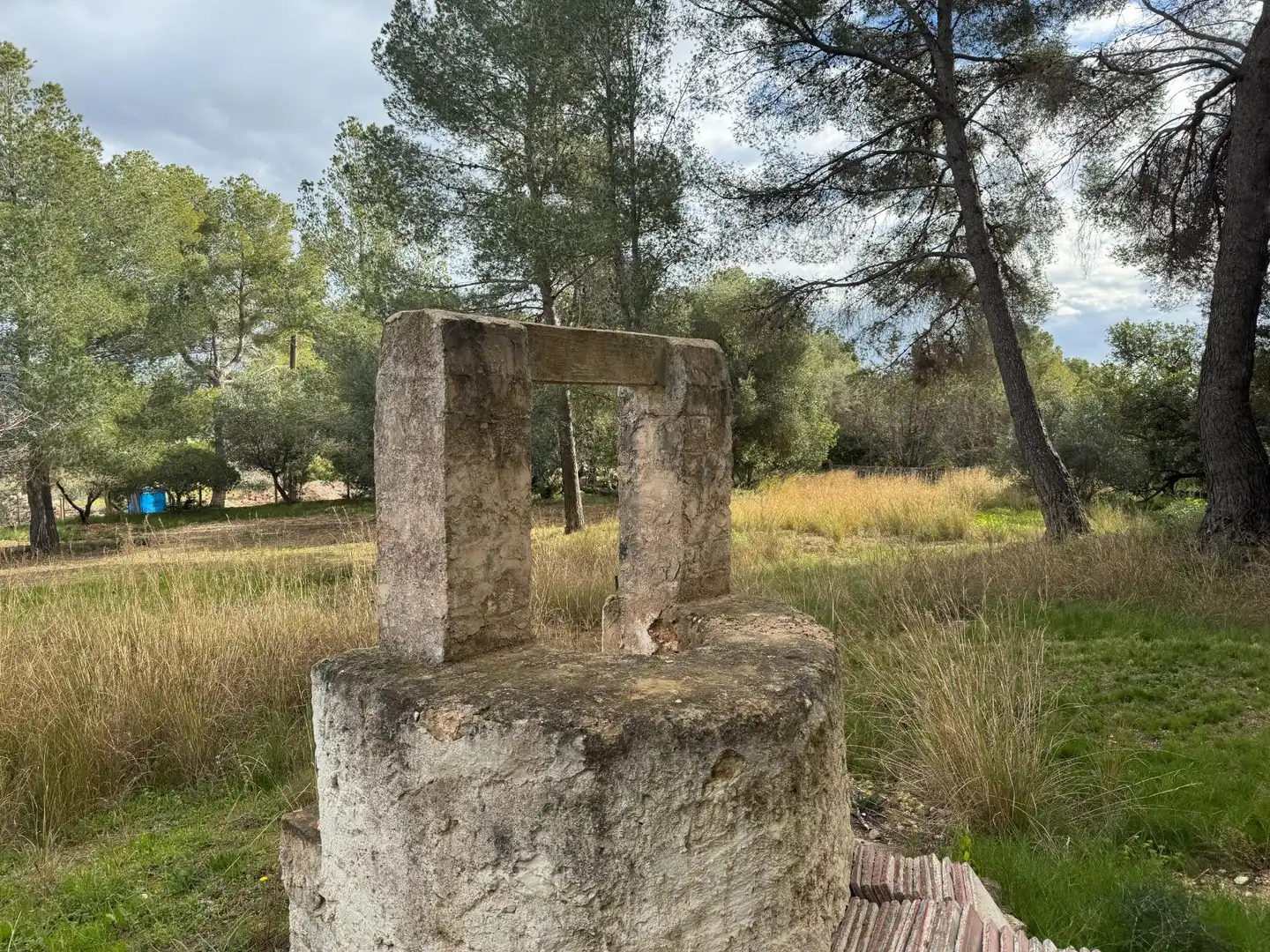 Jardí de Finca rústica en venda en Sant Pere de Ribes