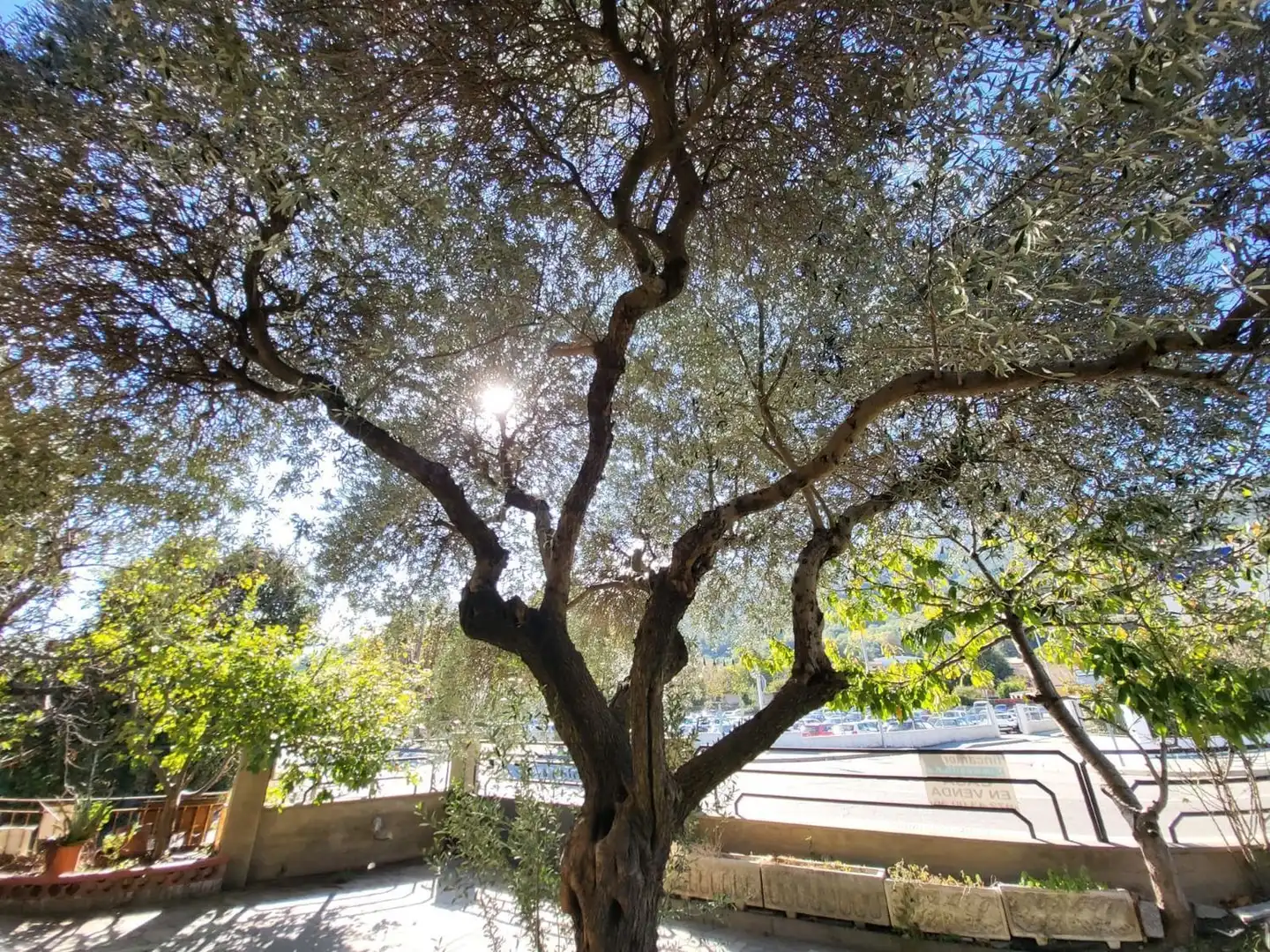 Detached house with garden for sale in Avenida de la Selva, imagen 11