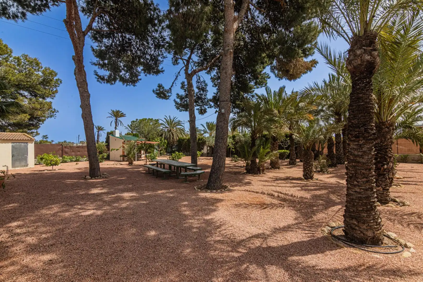 Jardín de Casa o chalet en venta en Elche / Elx con Jardín privado, Terraza y Piscina