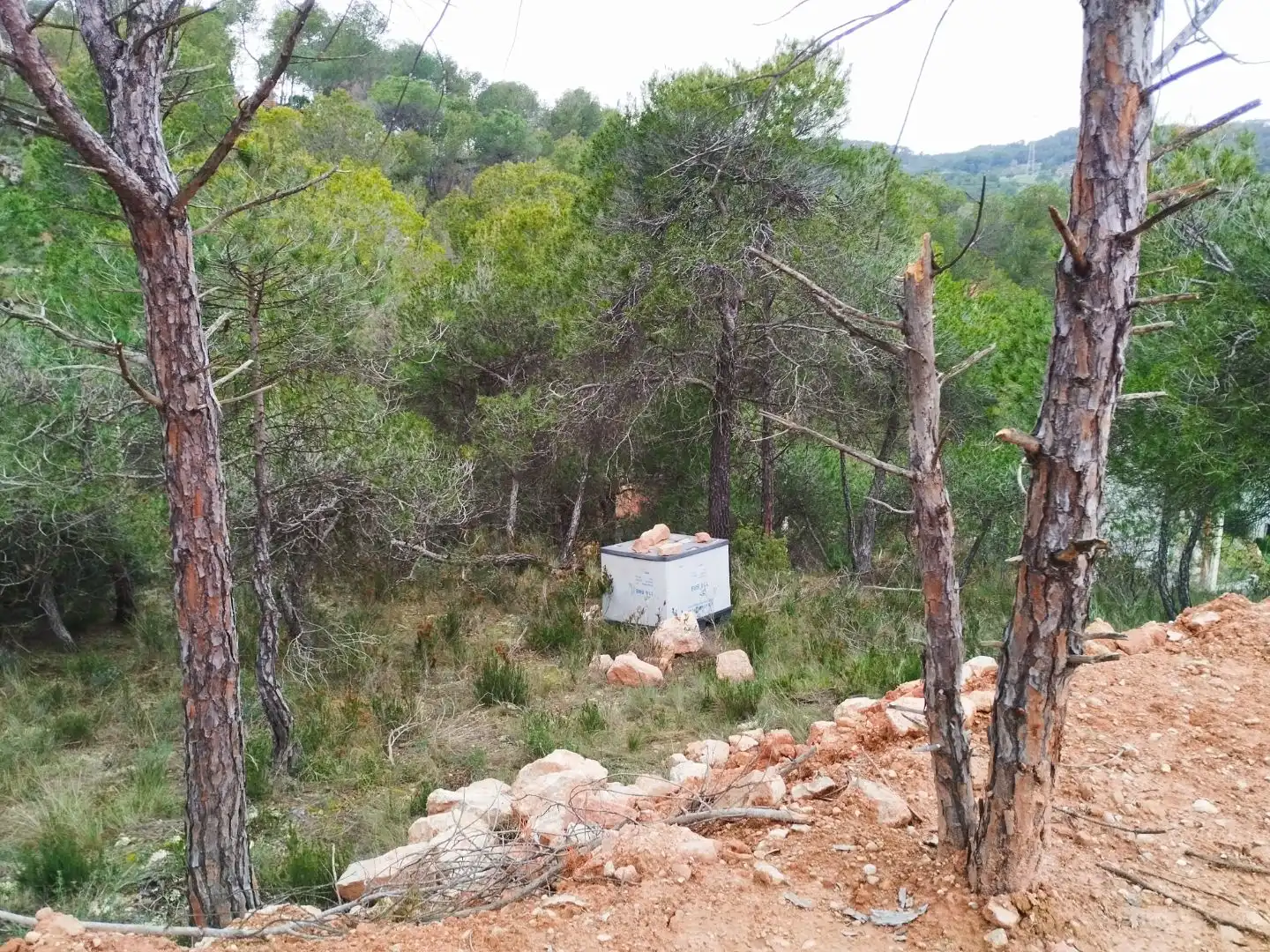 Terreny residencial en venda a Calle Vilafranca del penedes 4, imagen 6