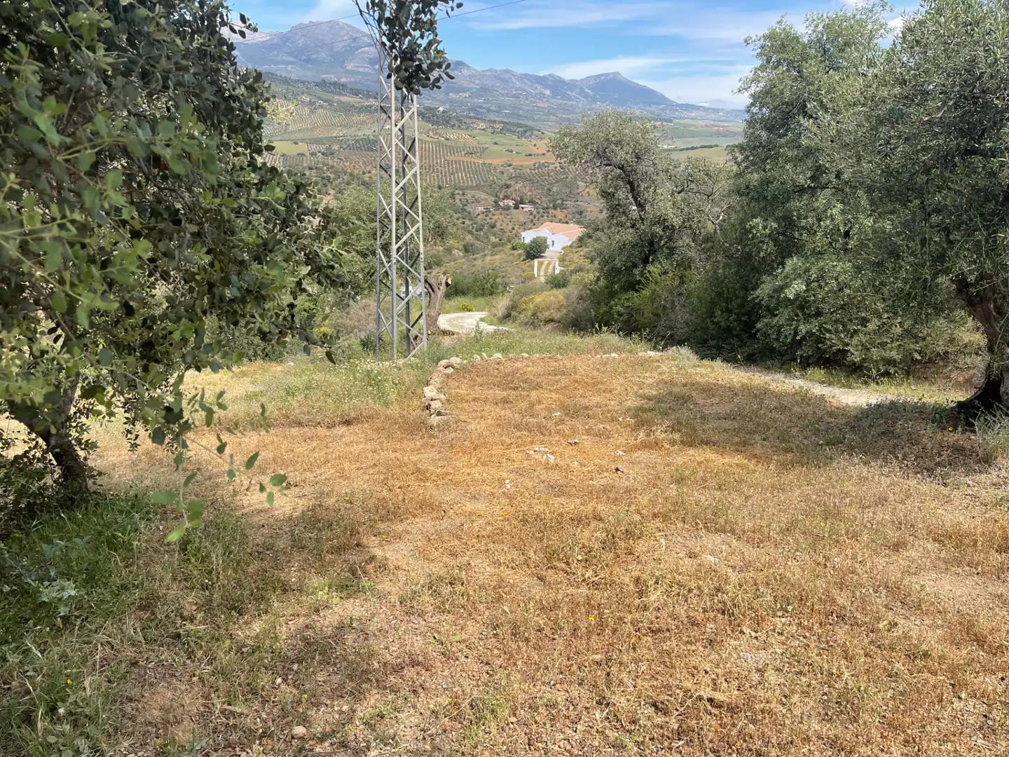 Terreno en venta en Guaro