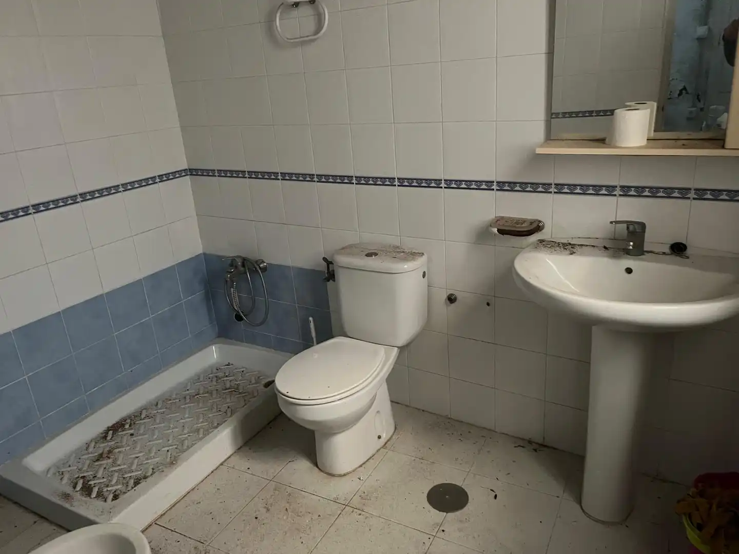 Bany de Casa o xalet en venda en San Fernando