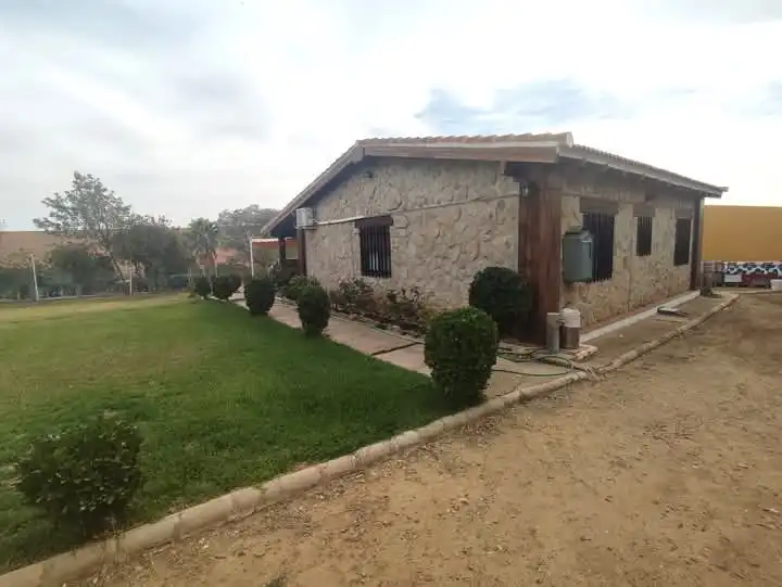 Exterior view of Land for sale in Don Álvaro