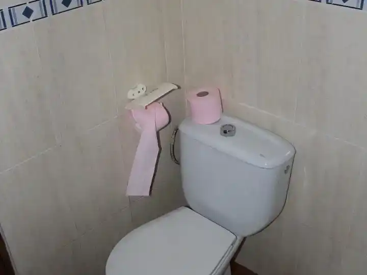 Bany de Casa adosada en venda en Alquife