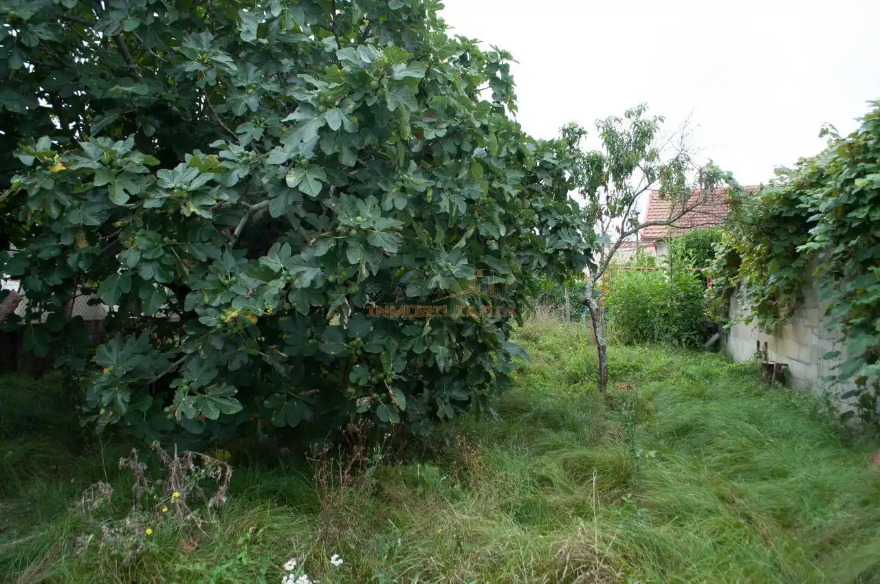 Maison avec jardin à vendre à Neda, imagen 6
