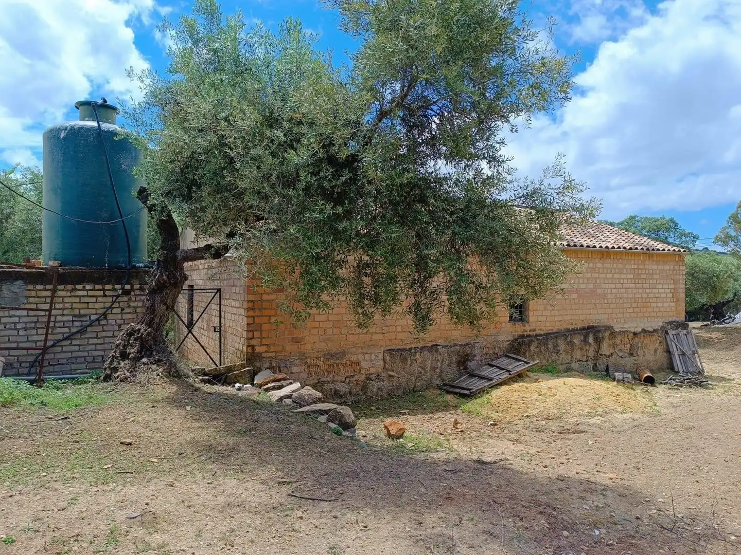 Exterior view of Residential for sale in Prado del Rey