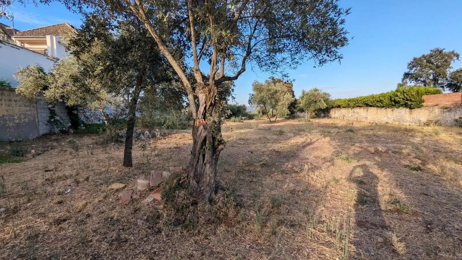 Residential land for sale in Norte-Sierra, imagen 9