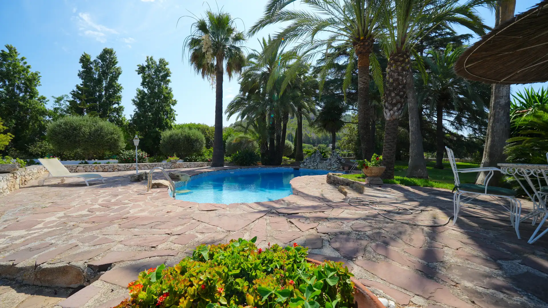 Jardín de Finca rústica en venta en Centro