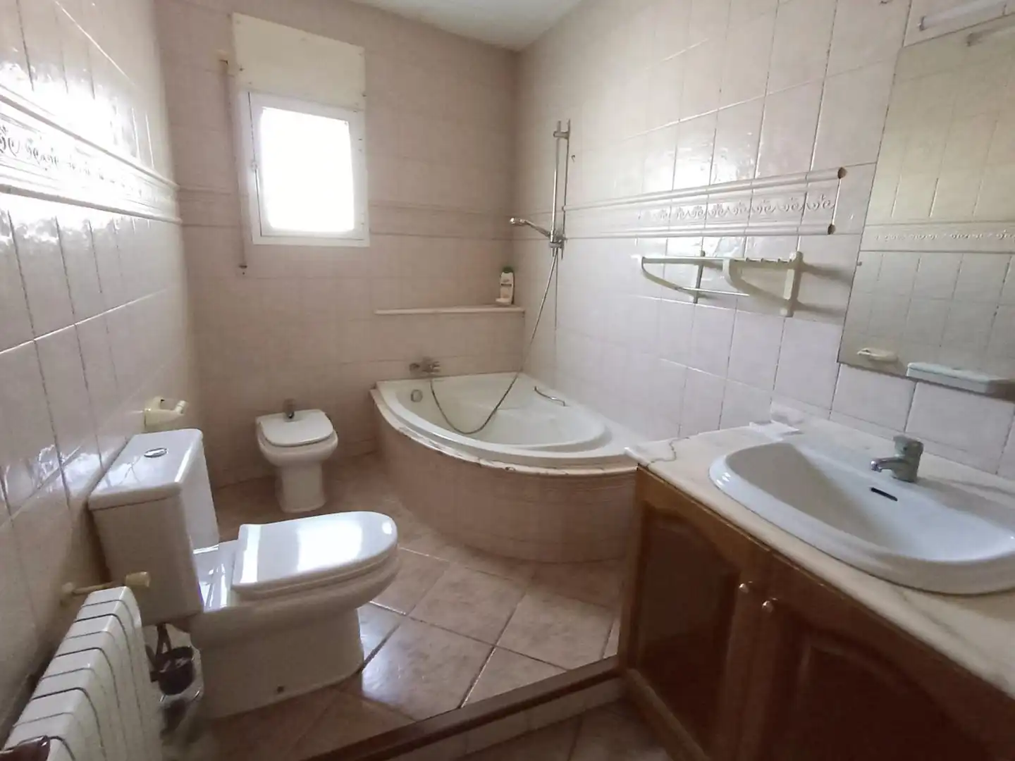 Bathroom of Houses for sale in Deltebre