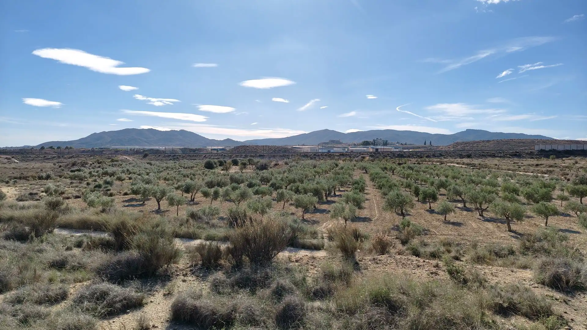 Terreno rustico in vendita a Campo Alto - Club de Campo