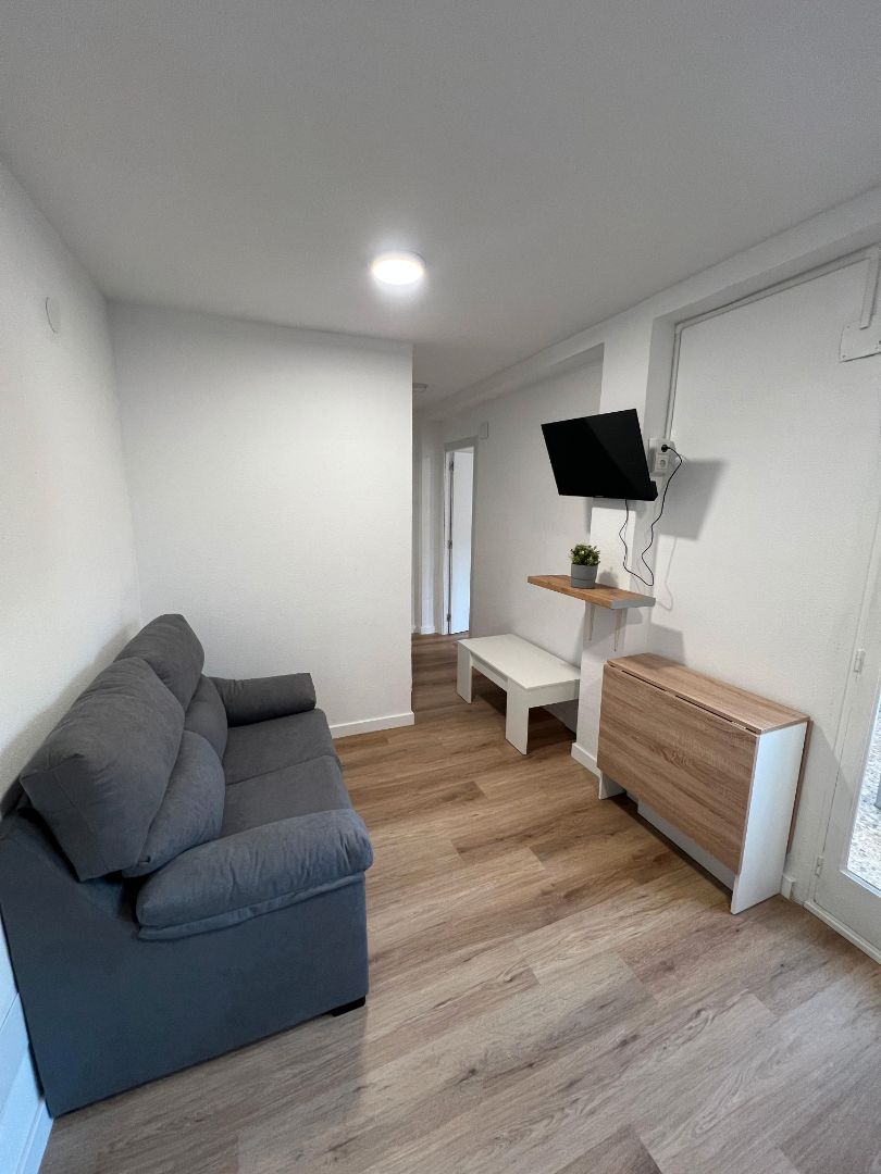 Sala d'estar de Estudi de lloguer en Alicante / Alacant amb Moblat, Forn i Rentadora