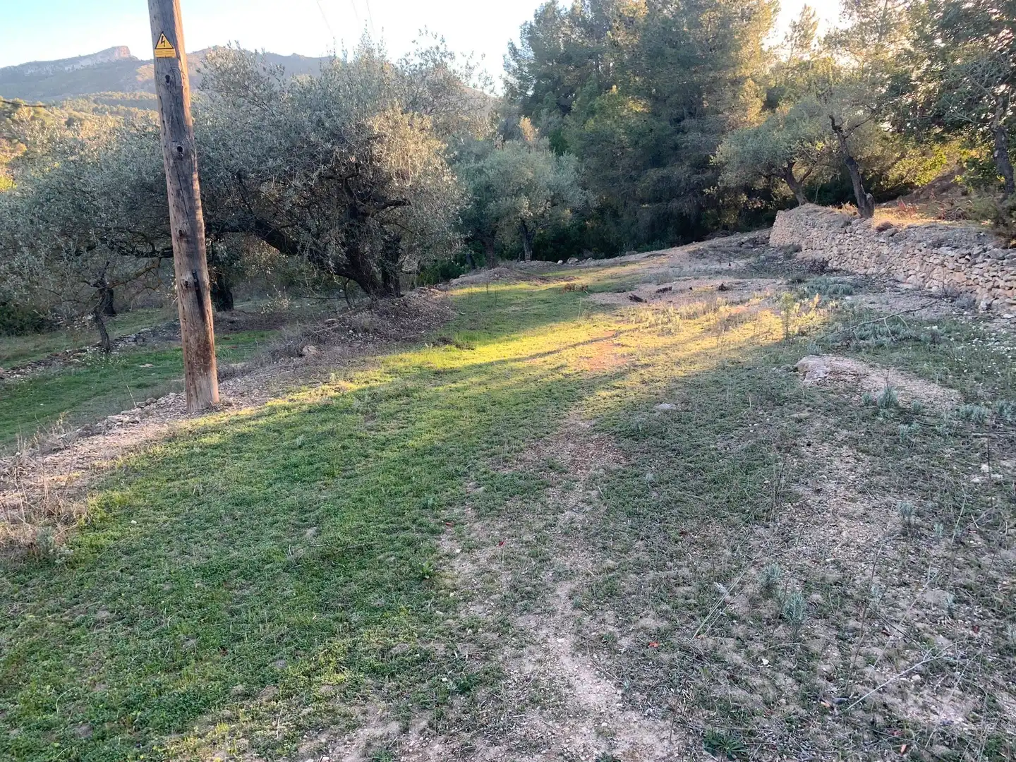 Terrain rustique à vendre à Avinguda Lluís Companys, imagen 8