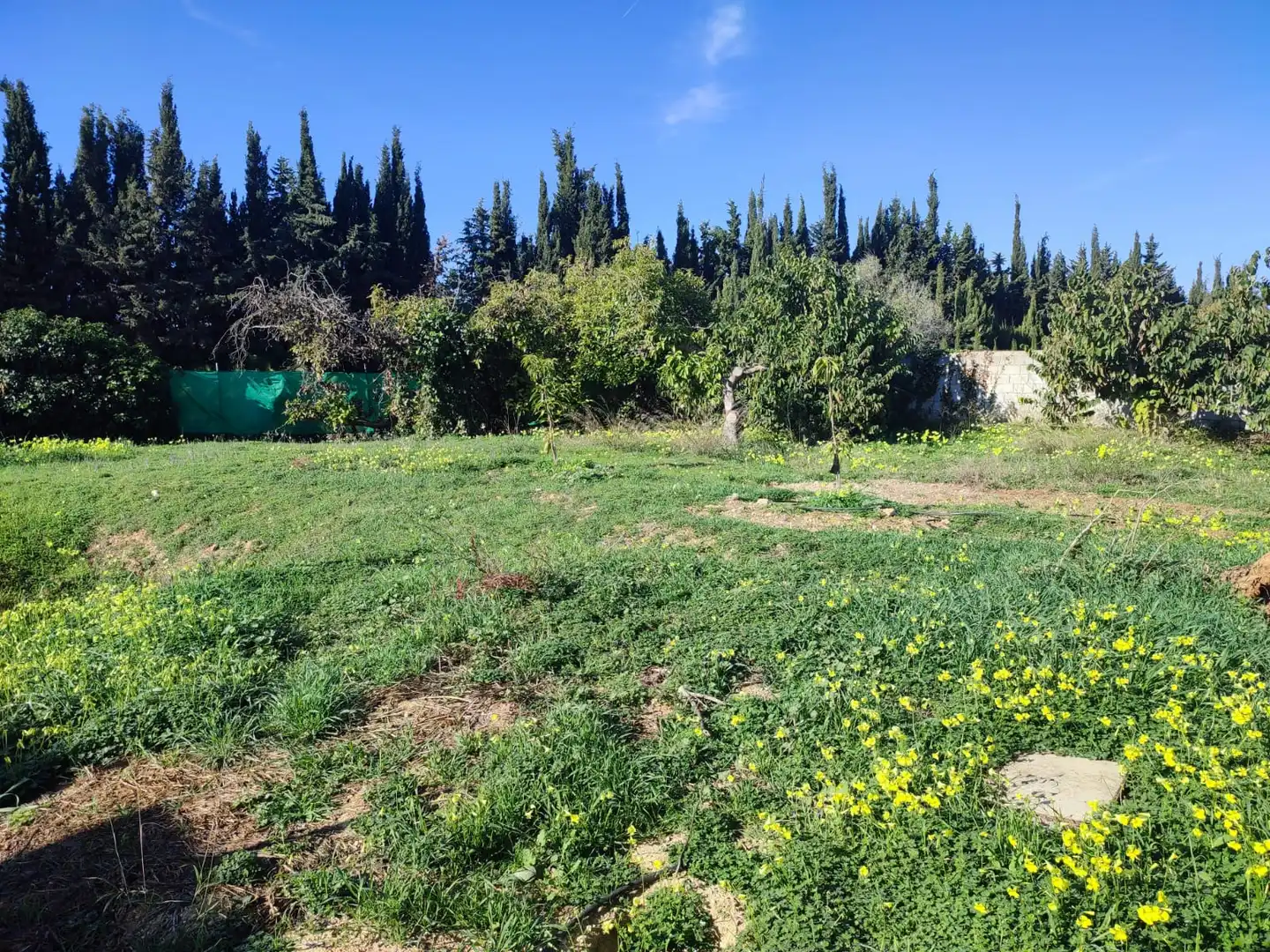 Finca rústica en venta en Málaga con Terraza y Piscina