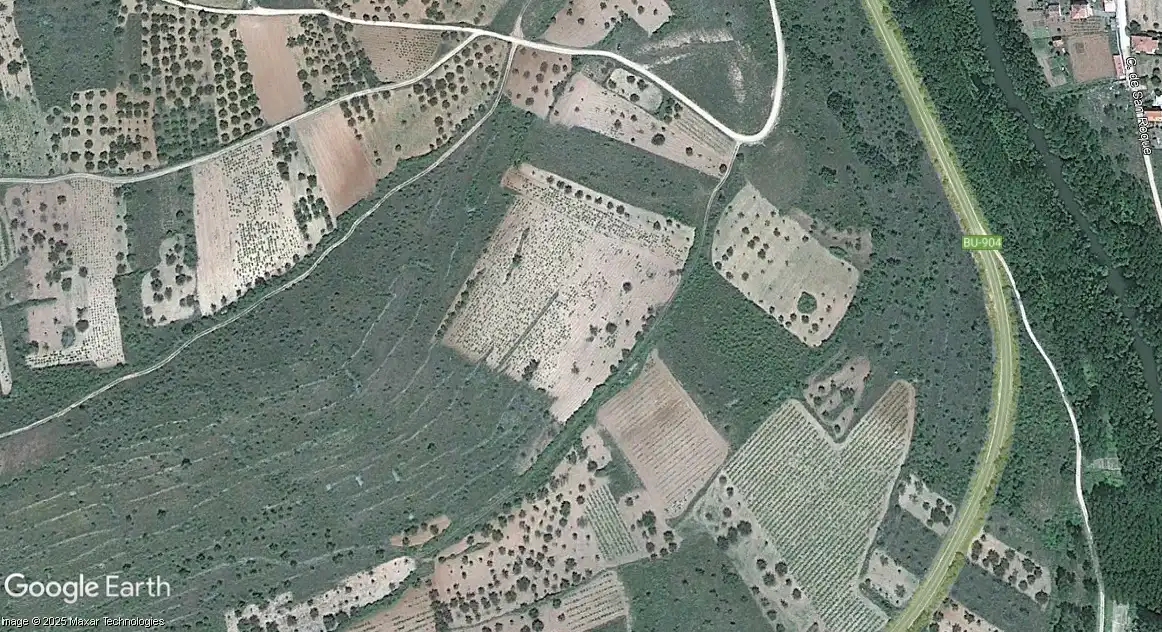Terreno rústico en venta en Covarrubias, imagen 2