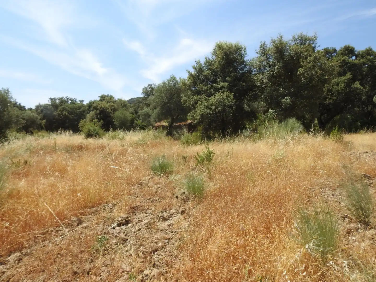 Terreni e lotti in vendita a Villar del Pedroso, imagen 14