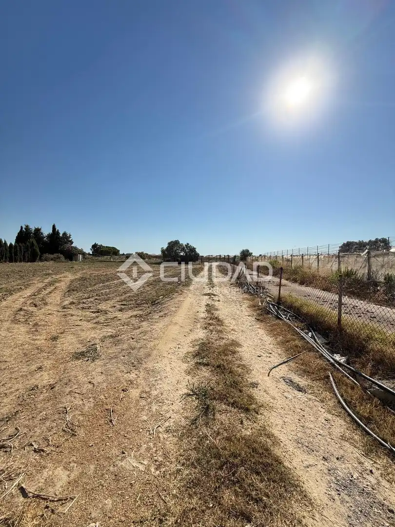 Terreny residencial en venda a Chipiona Norte, imagen 12