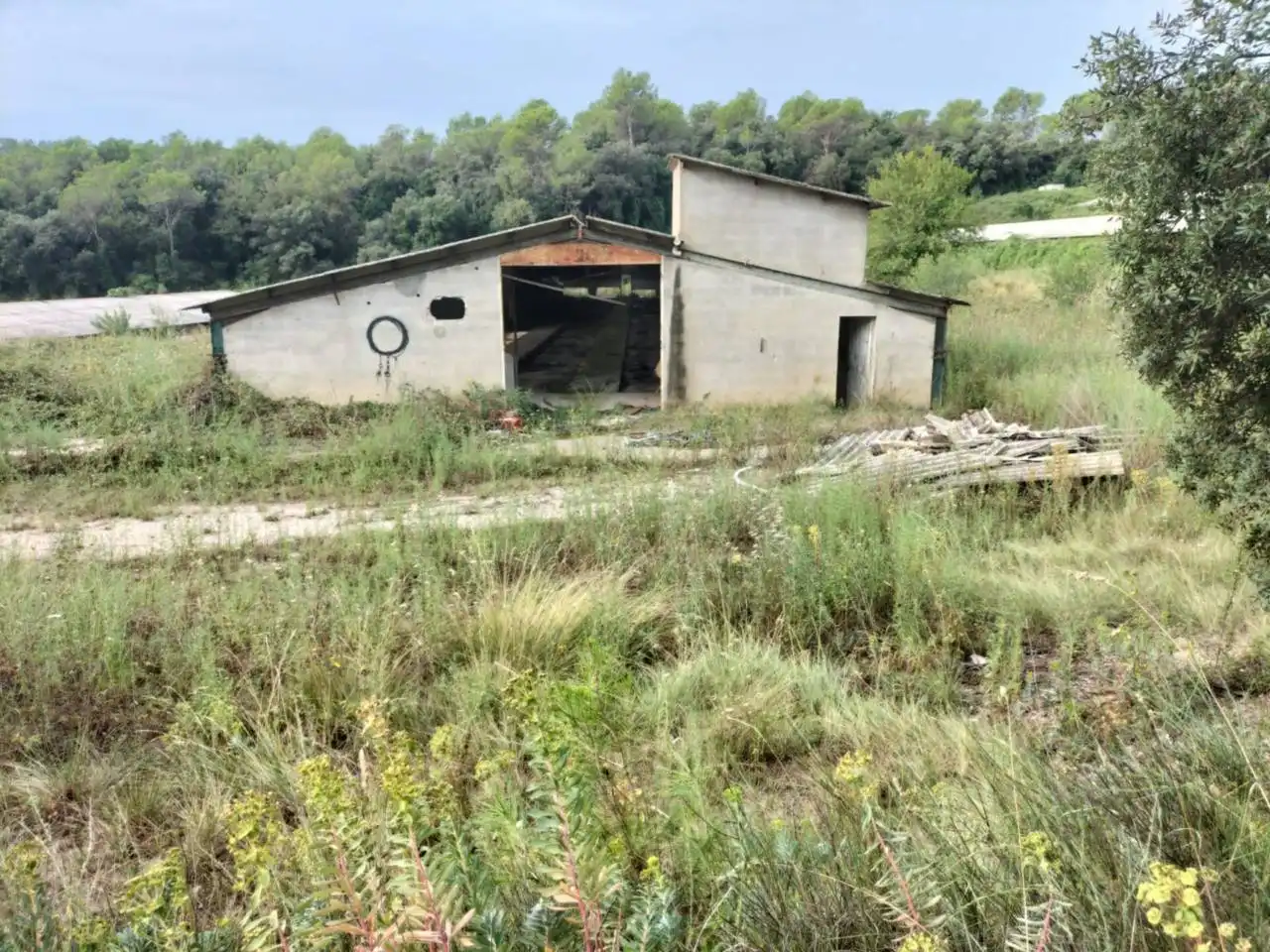 Industrial building for sale in Calle nou, imagen 3