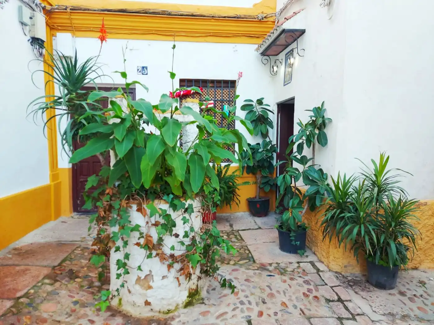 Maison à vendre à Centro, imagen 32