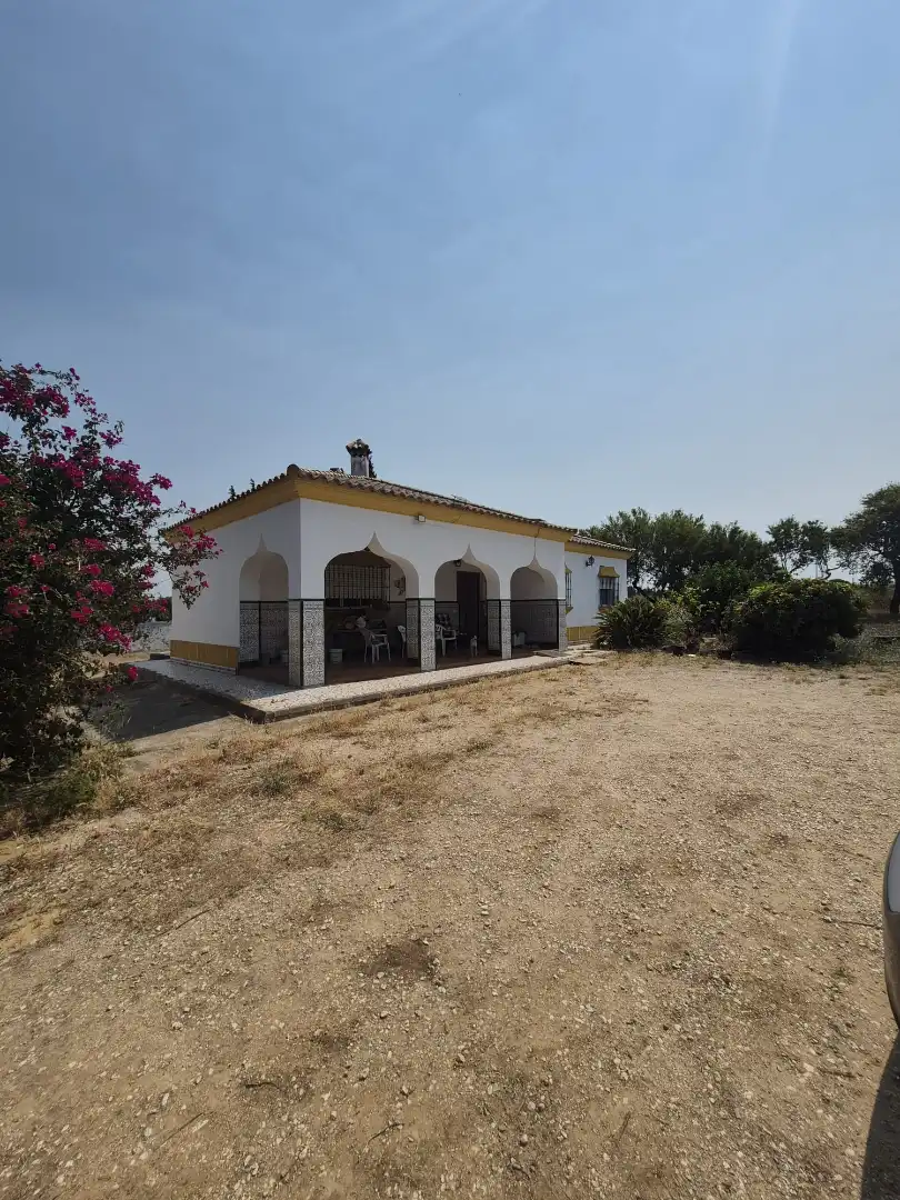 Exterior view of Houses for sale in Puerto Real  with Furnished